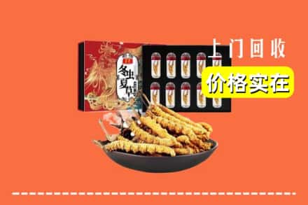 佳木斯郊区回收冬虫夏草